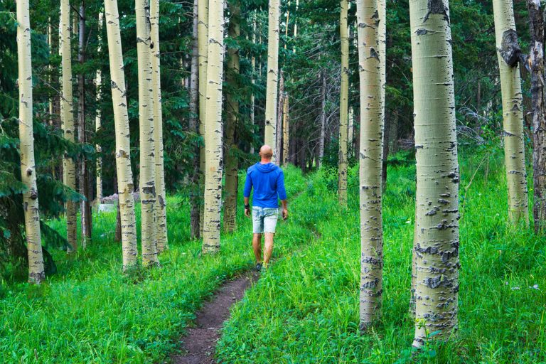 Walks in Nature