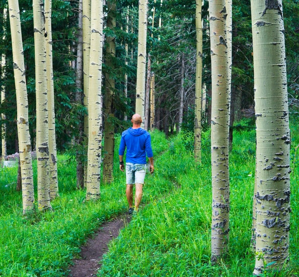 Walks In Nature